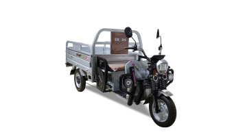 electric trike LB-co1