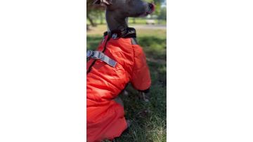 NWW-1003 WinterJacket