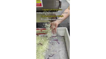Cabbage shredding machine