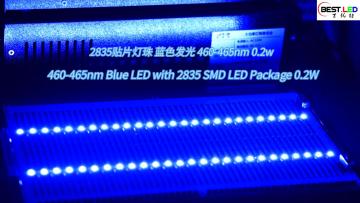 460-465nm Blue LED with 2835 SMD LED Package 0.2W
