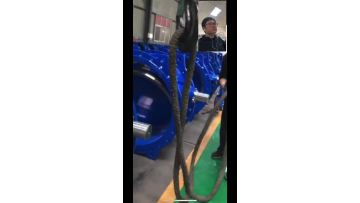 Tilting Disc Butterfly Check Valve - Video Inspect