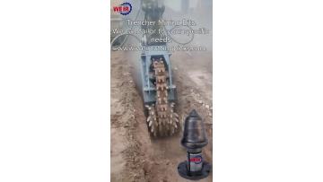 Trencher Rotary Drilling Teeth