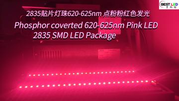 Phosphor coverted Pink LED 2835 SMD LED Package