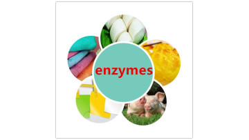 Introduction of enzyme products from Sunson