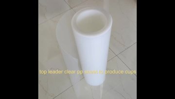 pp sheet to produce cups