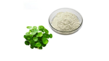 High Quality EU Organic Asiaticoside Gotu Kola Extract Powder1