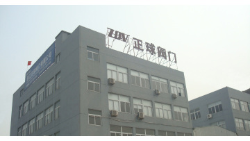 Company Info