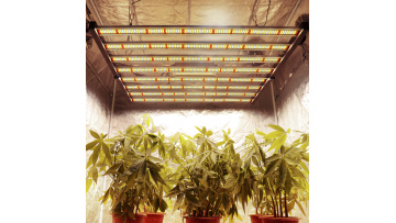 640W led grow light fahold driver
