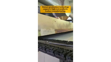Video 59
