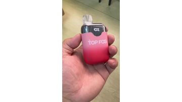8000 puffs Ecigs