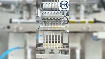 Multi-lane Back Seal Granule Packing Machine
