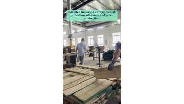 Video 9