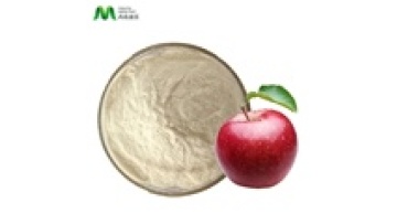 Certified USA Oversea Warehouse Direct Supply Apple Powder Apple Juice Powder1