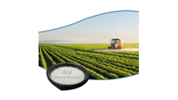 Buy High Quality Agriculture SAP Potassium Polyacrylate for Enhanced Crop Growth1