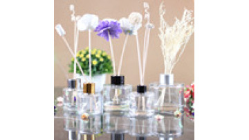 Wholesale High Quality Glass Bottle Reed Diffuser Sticks Aromatic Oil Scent Reed Diffuser1