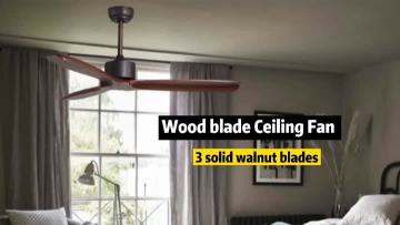 Modern ceiling fan for home