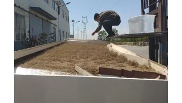 5XZ-10 Gravity Separator clean cumin.mp4
