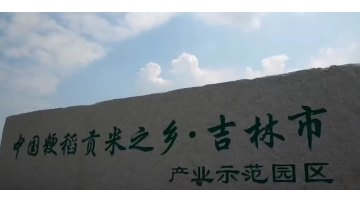 company banner