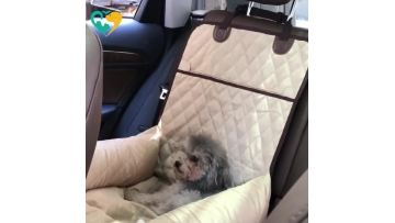 pet bed for car