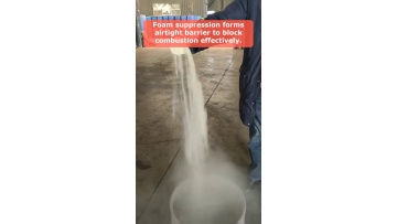 Video 10