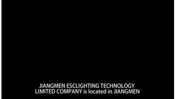 Profile of Ceiling Fan Company