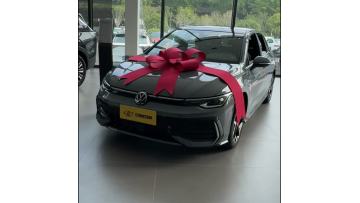 Evergreen Golf 300TSI Hatchback For Commuting