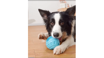 TEETH CLEAN BALL TOY