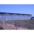 Professional Large Size Durable PE Film Greenhouse