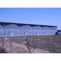 Multi Span resistance type plastic tunnel greenhouse