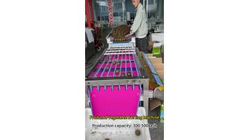 Fruit and Vegetable Sorting Machine 