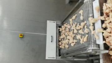 chicken leg frozen output