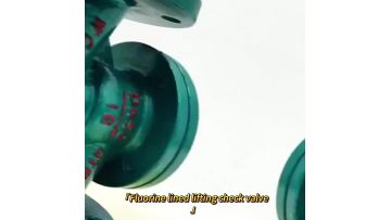 Fluorine Lined Check Valve
