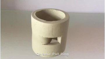25mm 50mm ceramic pall rings tower packing for distillation column packing1