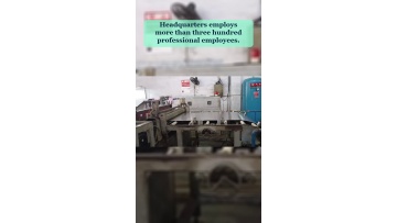 Video 21