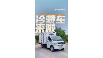 D08 pure electric light truck refrigerated truck