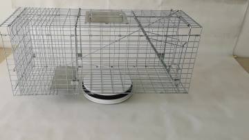 Amazon Hot Sale Live Cat Rabbit Cage Traps Cage for Squirrels Foxes Raccoons Pigs Dogs China Suppliers1