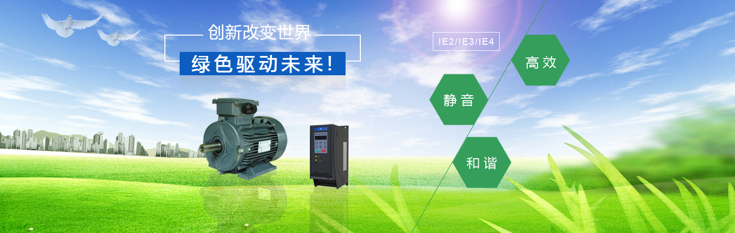 Fujian DaYou New Energy Motor Technology Co. Ltd