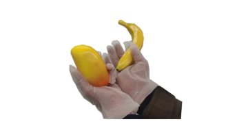 Compostable Gloves
