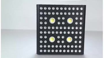 AGLEX COB 2000W Grow Light.mp4