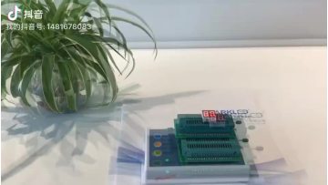 0.36 inch 2 Digit 7 Segment LED Display with red color1