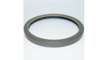 OEM NO 12001925B COMBI type  agricultural equipment  oil seals for 51371091