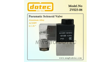 2V025-06-220VAC