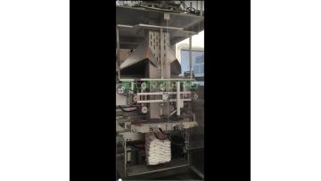 5. sugar secondary packing machine