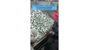Video 31