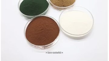 10% Salvia miltiorrhiza Extract Tanshinone IIA Powder