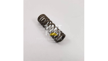 Valve Spring 211-3122