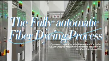 The Fully-automatic Fiber Dyeing Process