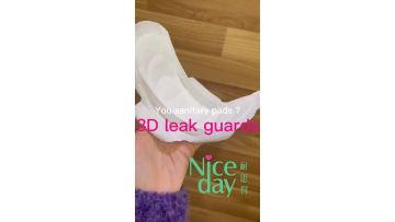 Niceday 3D leak guard sanitary pad