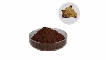 Hawthorn Flavonoids