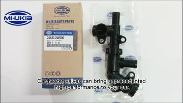 Warmer Water Valve 25630-2W500